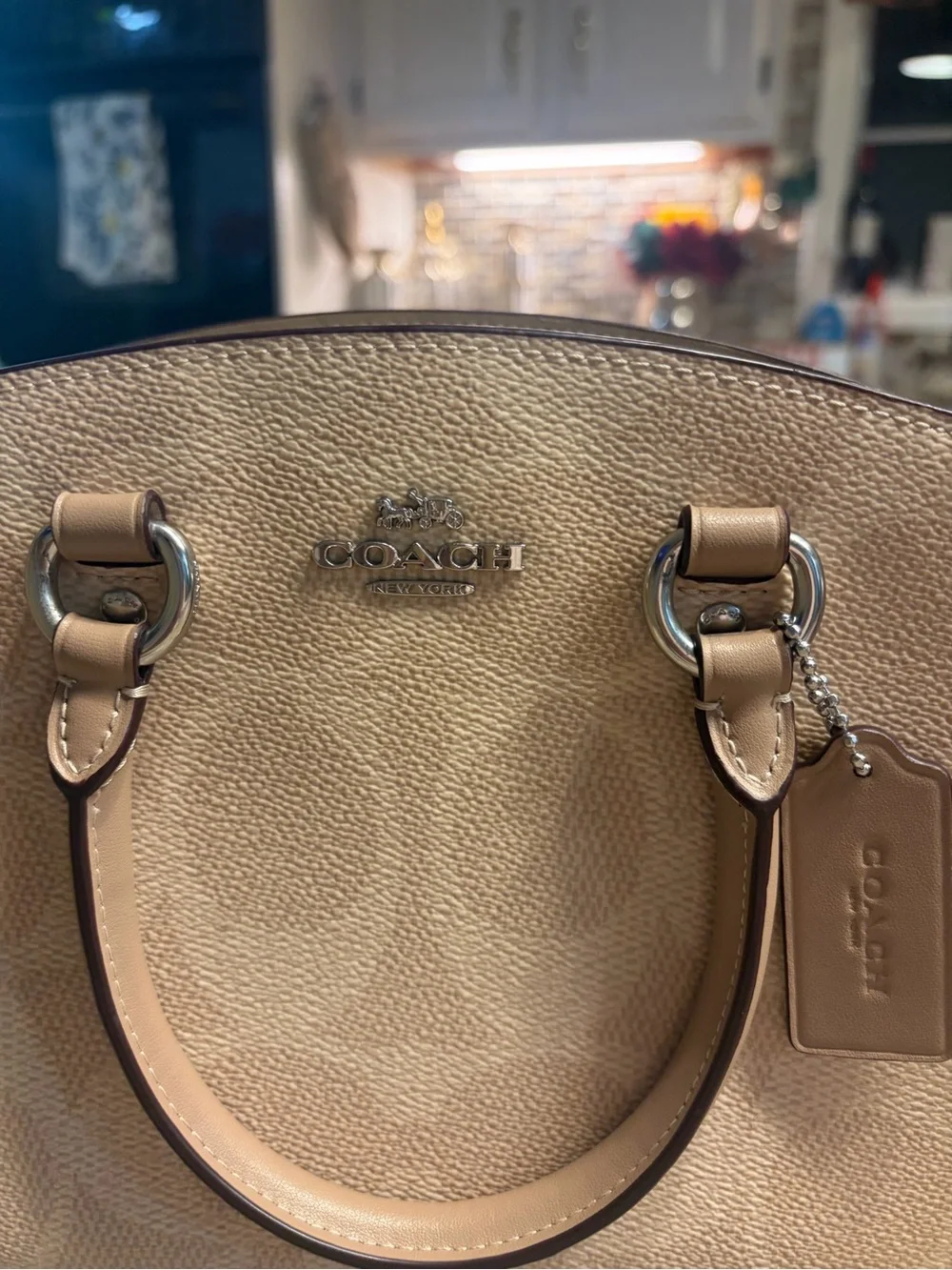 Coach Savannah small carryall